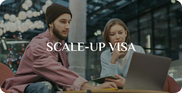 Scale-up Visa